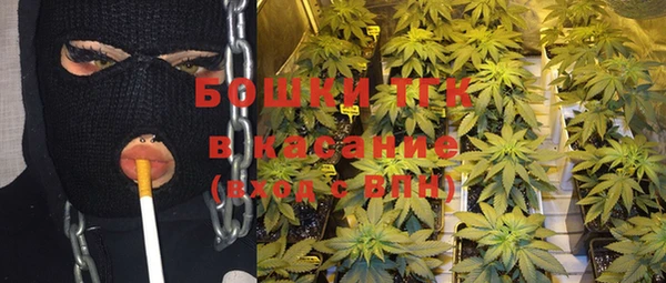 эйфоретик Богородск
