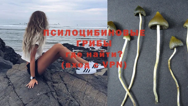 кокаин Богородицк