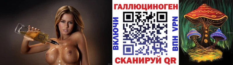 что такое наркотик  Старица  Псилоцибиновые грибы Psilocybe 